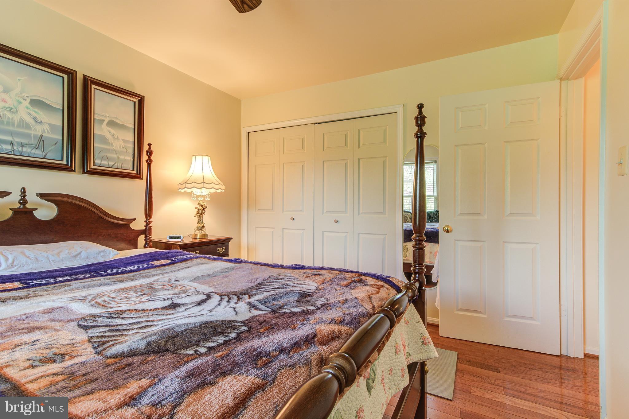 21787 Canfield Terrace Sterling, VA 20164 - Photo 33 of 46 Spacious 2nd bedroom with beautiful backyard views