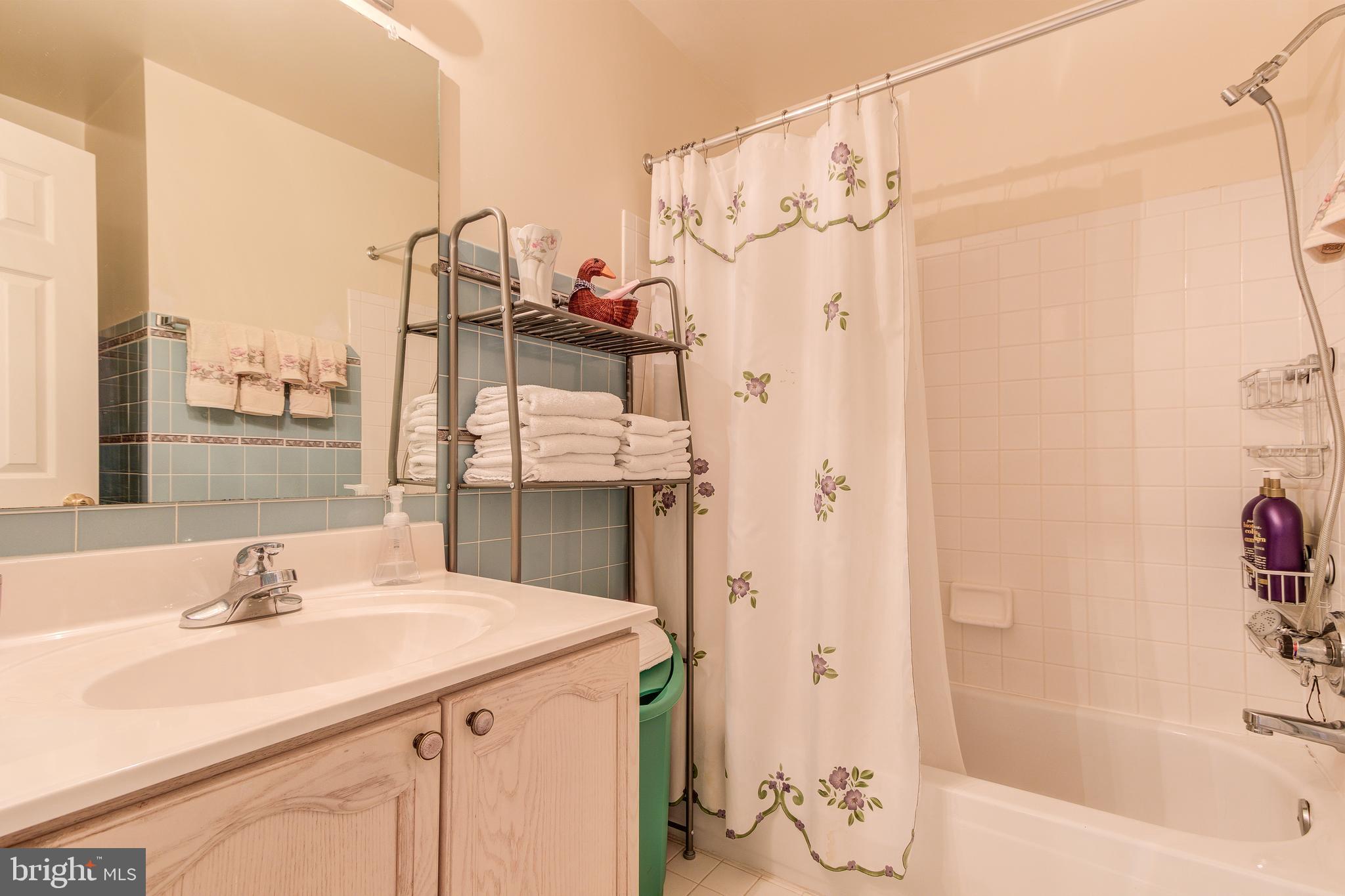 21787 Canfield Terrace Sterling, VA 20164 - Photo 34 of 46 Upper level hallway bathroom