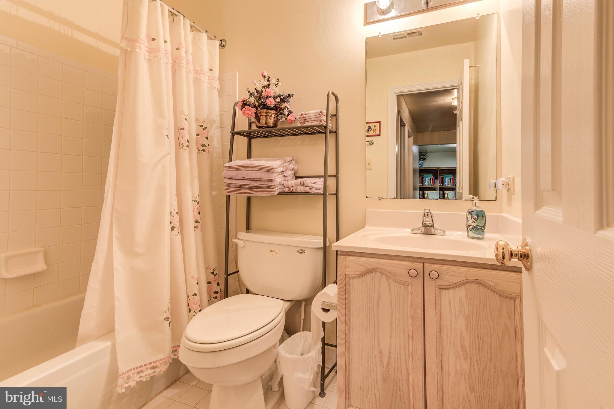 21787 Canfield Terrace Sterling, VA 20164 - Photo 40 of 46 Full bathroom in the lower level