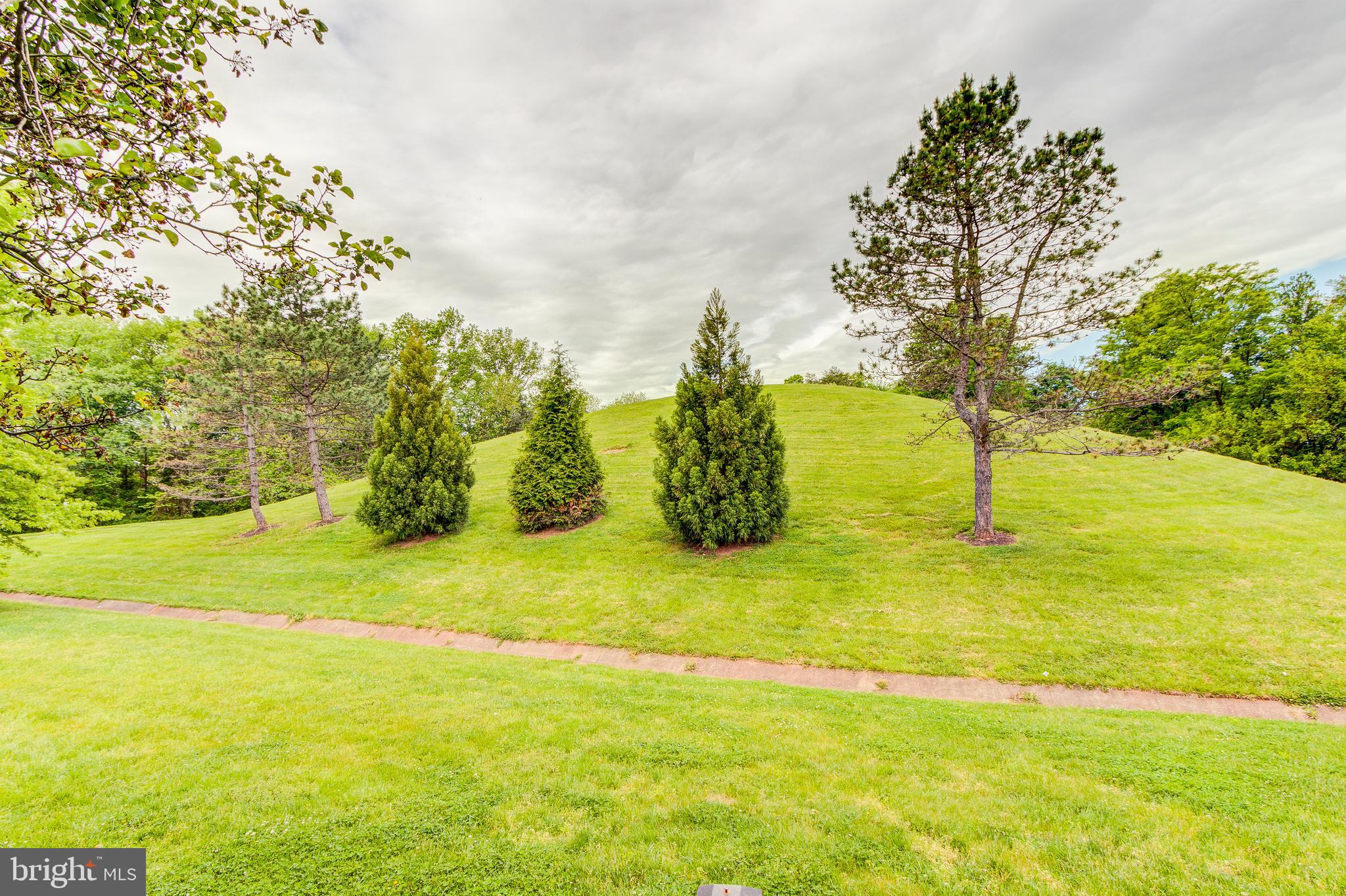 21787 Canfield Terrace Sterling, VA 20164 - Photo 44 of 46 One of the most beautiful backyard views