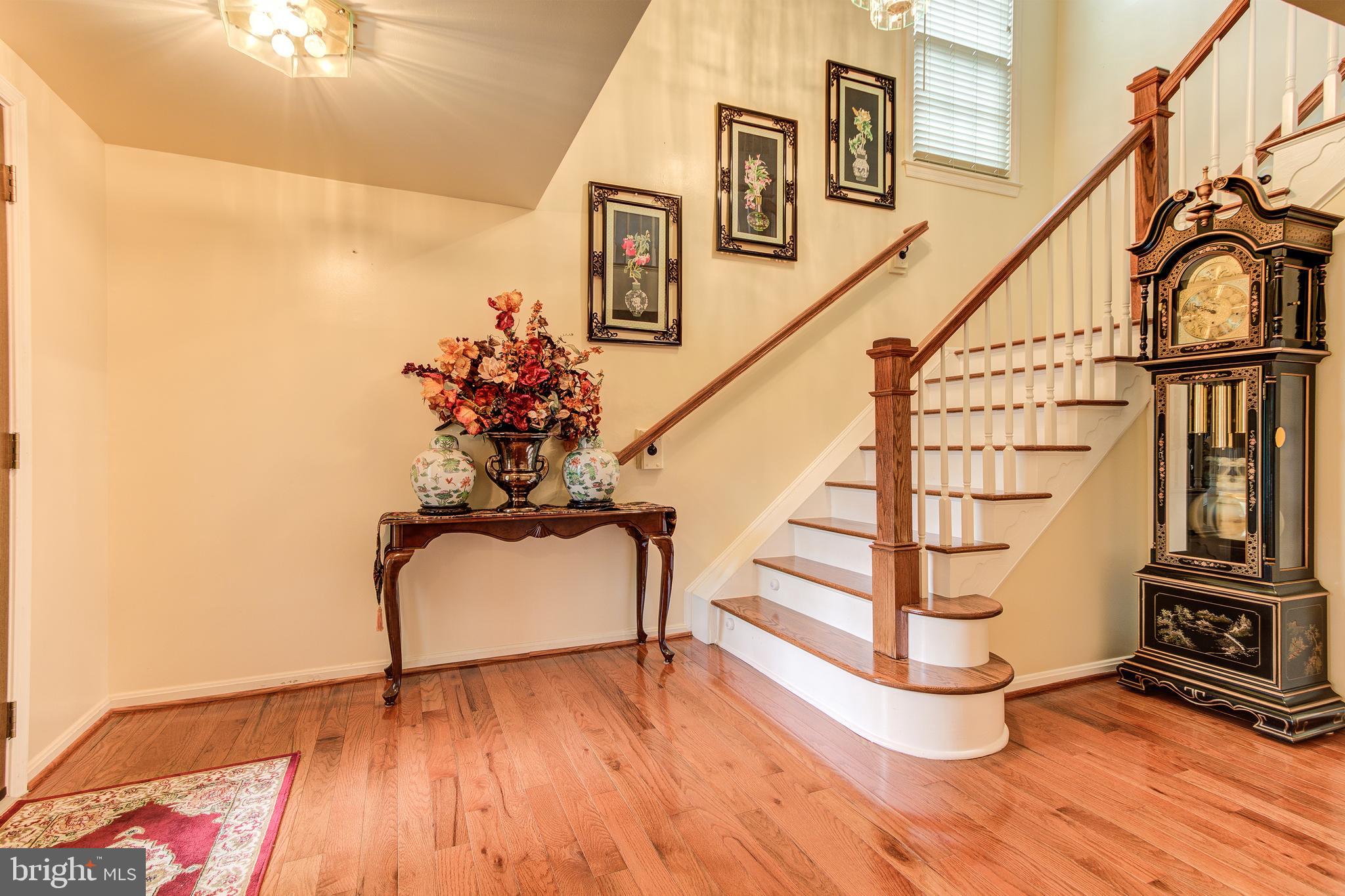 21787 Canfield Terrace Sterling, VA 20164 - Photo 6 of 46 Spacious and bright foyer welcomes you upon entry