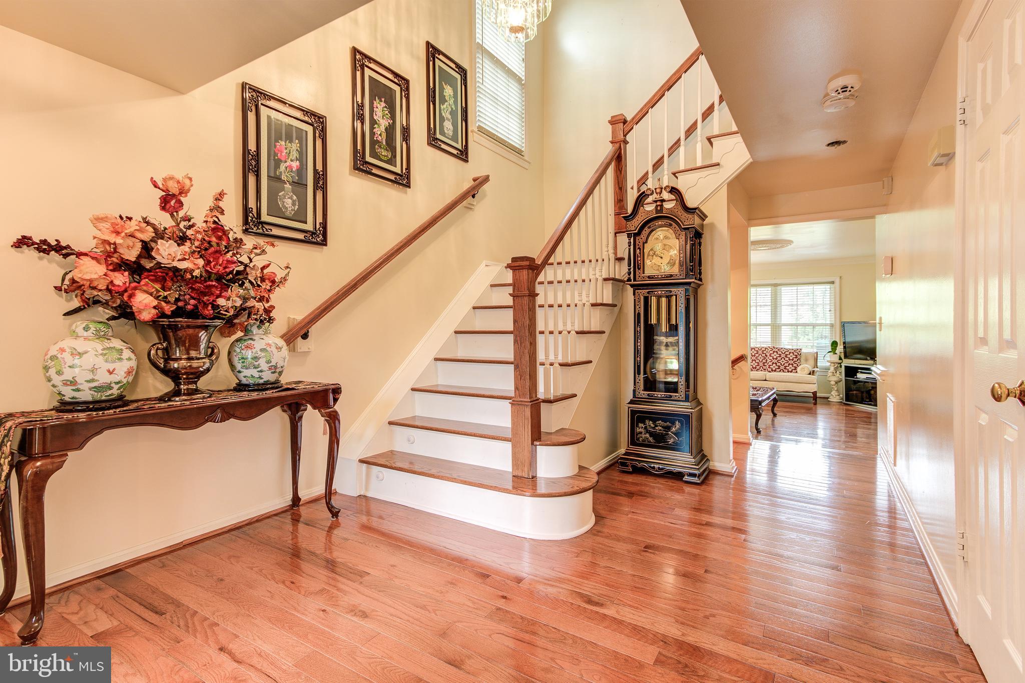 21787 Canfield Terrace Sterling, VA 20164 - Photo 7 of 46 Spacious and bright foyer welcomes you upon entry