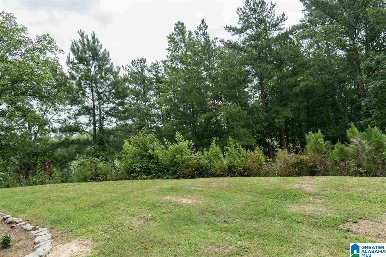 787 Sagebrush Road Ashville, AL 35953 - Photo 45 of 50