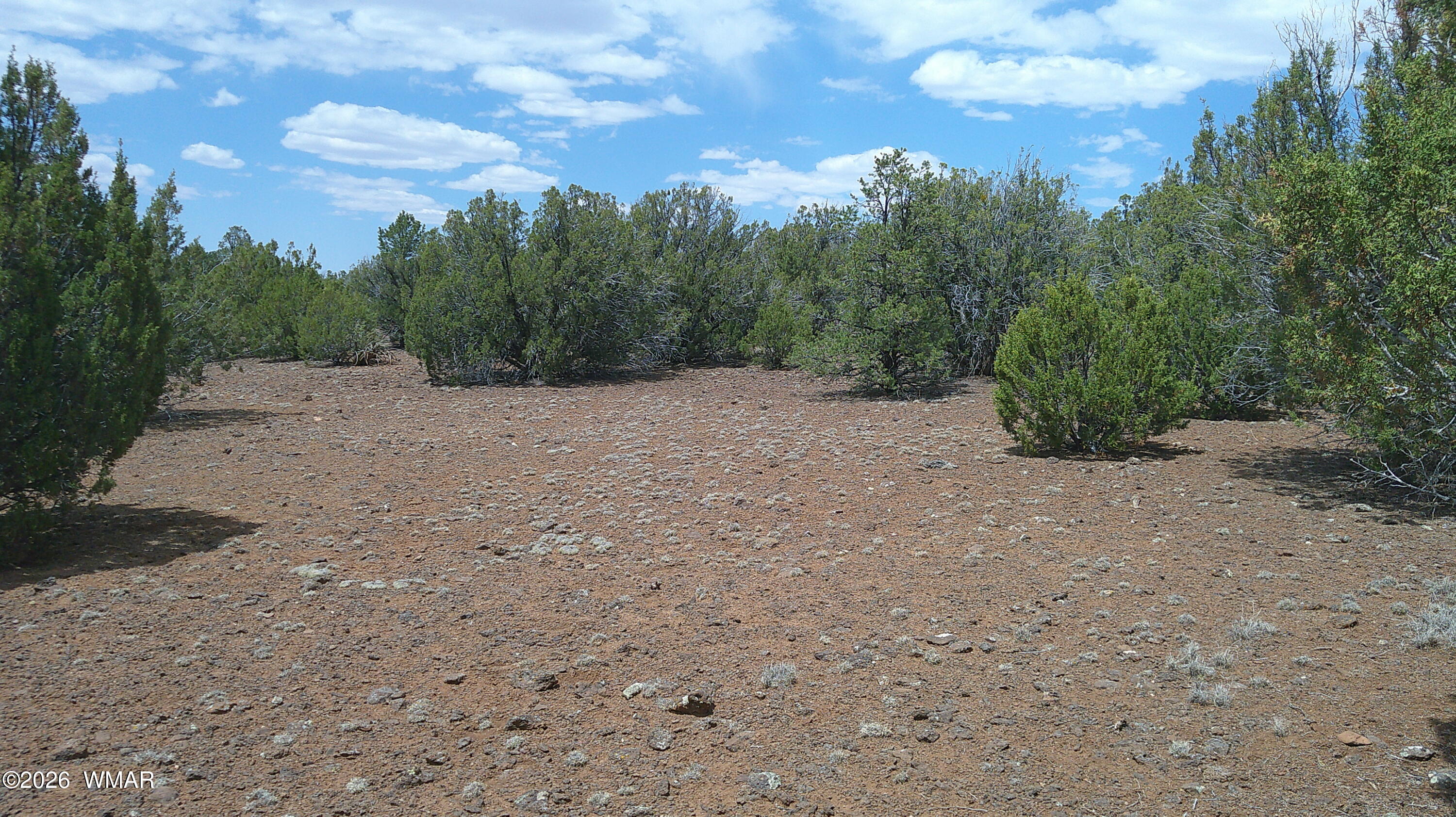 74 Co Road Concho, AZ 85924 - Photo 3 of 11 DSCF0010