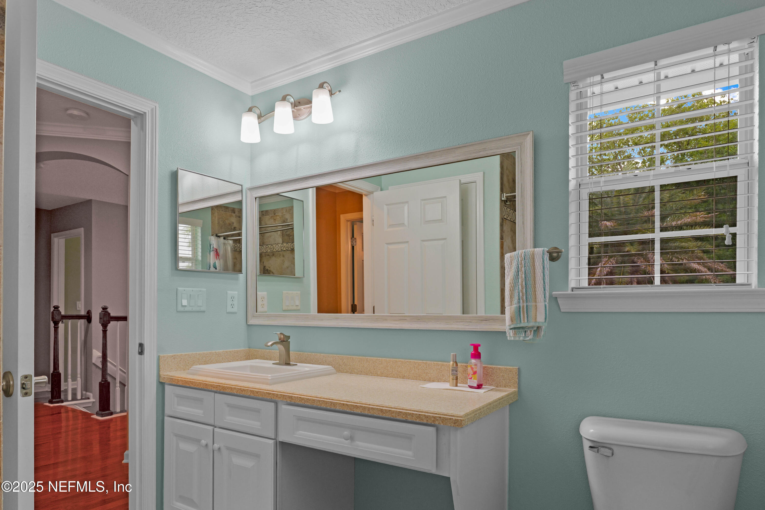 96218 Windsor Drive Yulee, FL 32097 - Photo 44 of 53 a bathroom with a sink vanity mirror and toilet