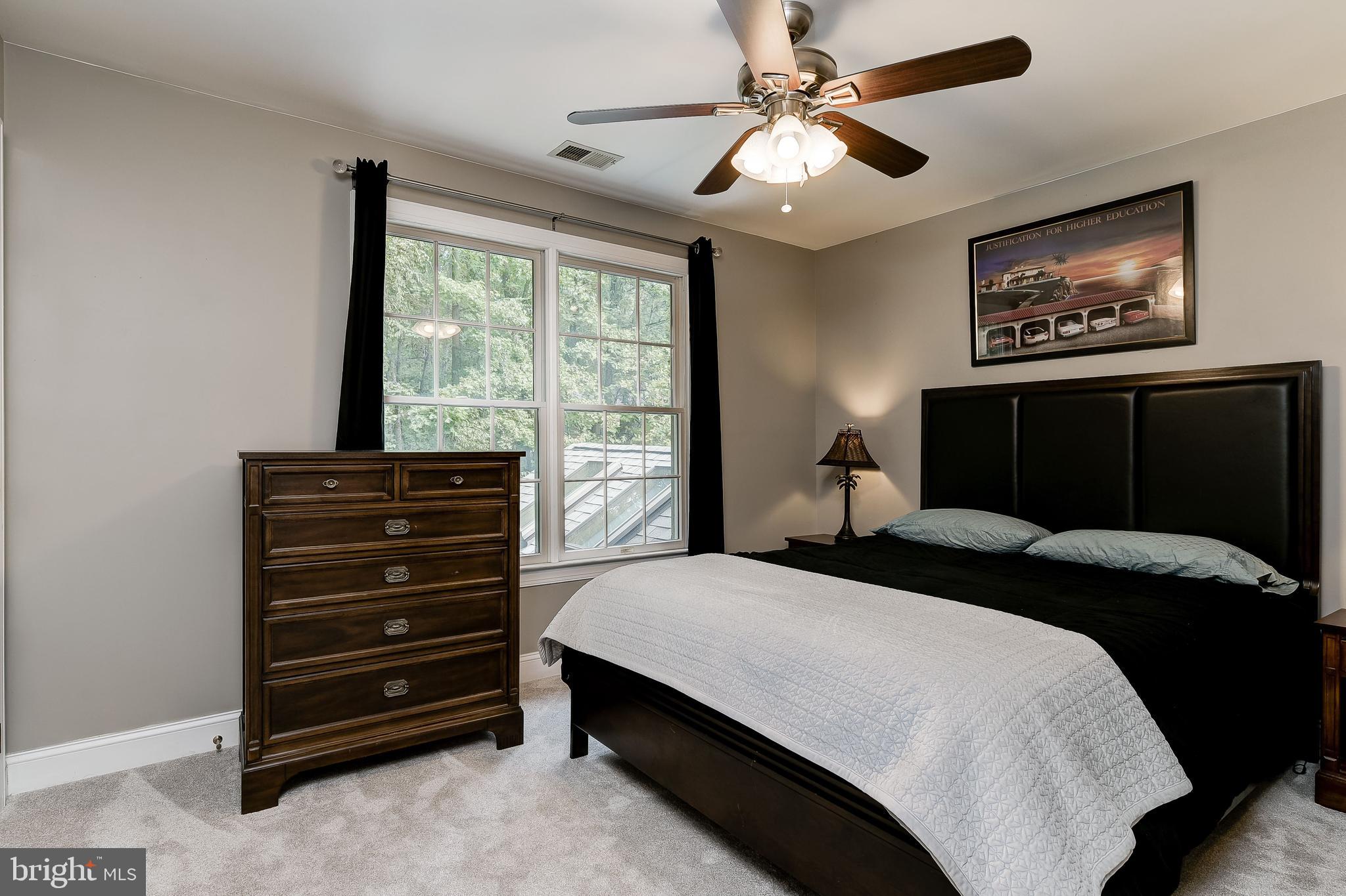 8222 Ventnor Road Pasadena, MD 21122 - Photo 24 of 46 Plush Carpeting