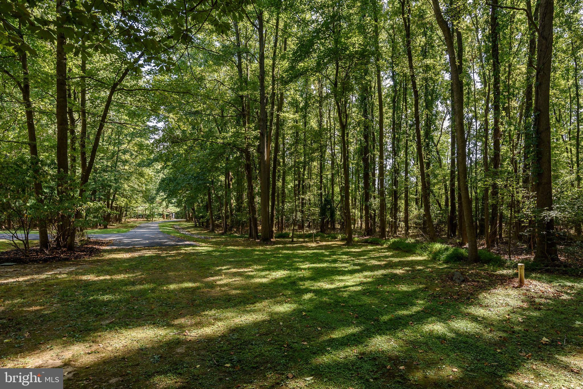 8222 Ventnor Road Pasadena, MD 21122 - Photo 46 of 46 Gallery Image 46