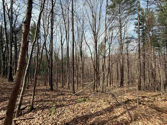 $4,000,000 | 15 Wind Hill Road, Manchester, VT 05255