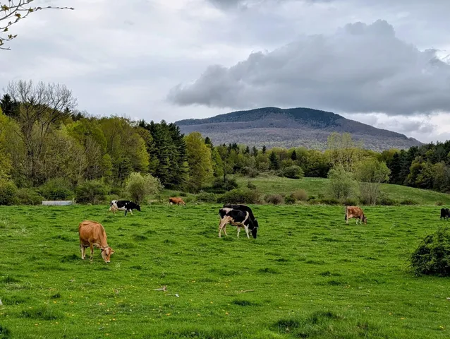 $4,000,000 | 15 Wind Hill Road, Manchester, VT 05255