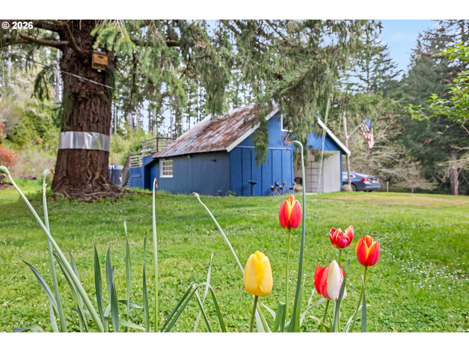 50156 Myrtle Creek Road Myrtle Point, OR 97458 - Photo 30 of 47