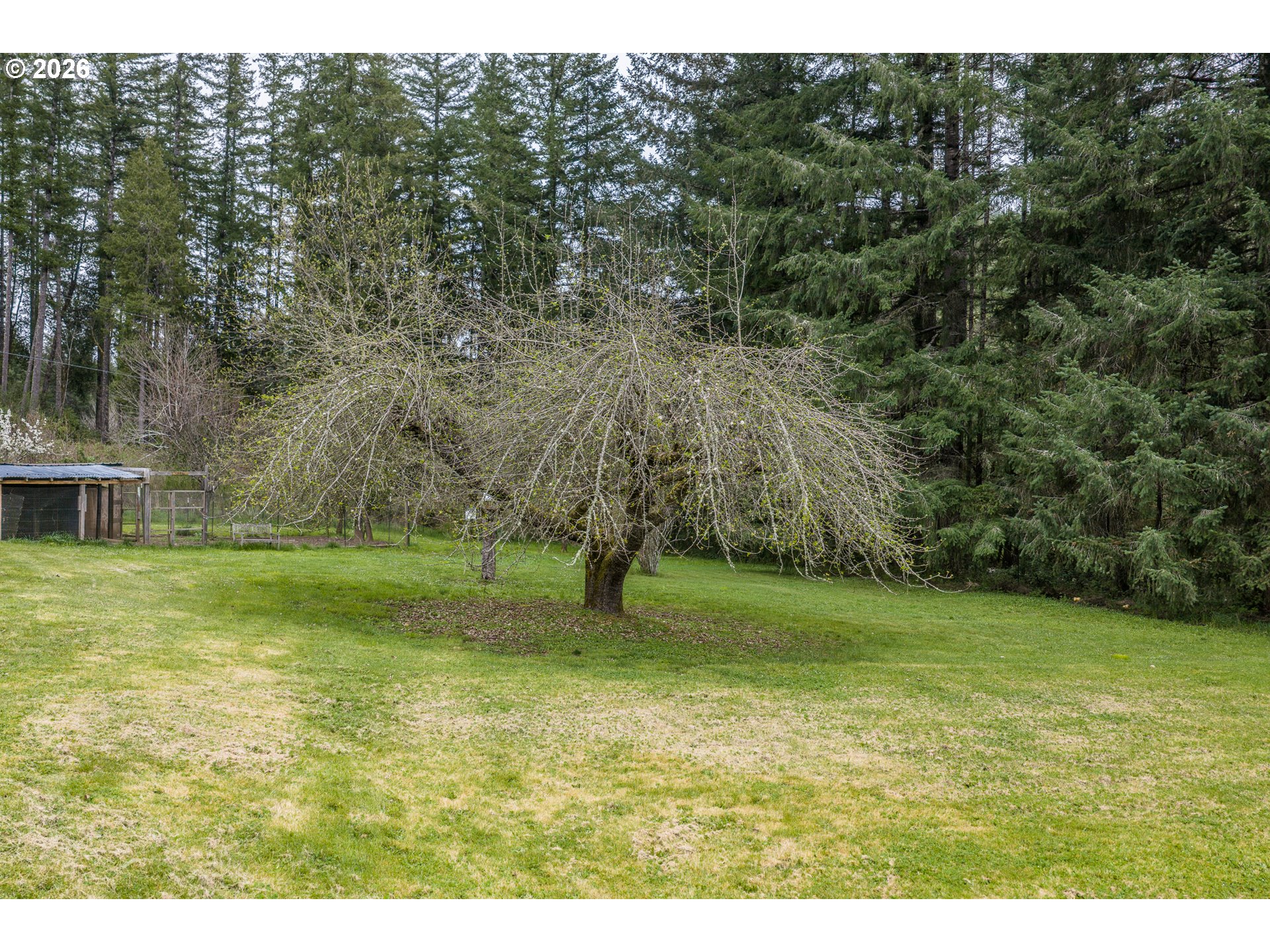 50156 Myrtle Creek Road Myrtle Point, OR 97458 - Photo 3 of 47