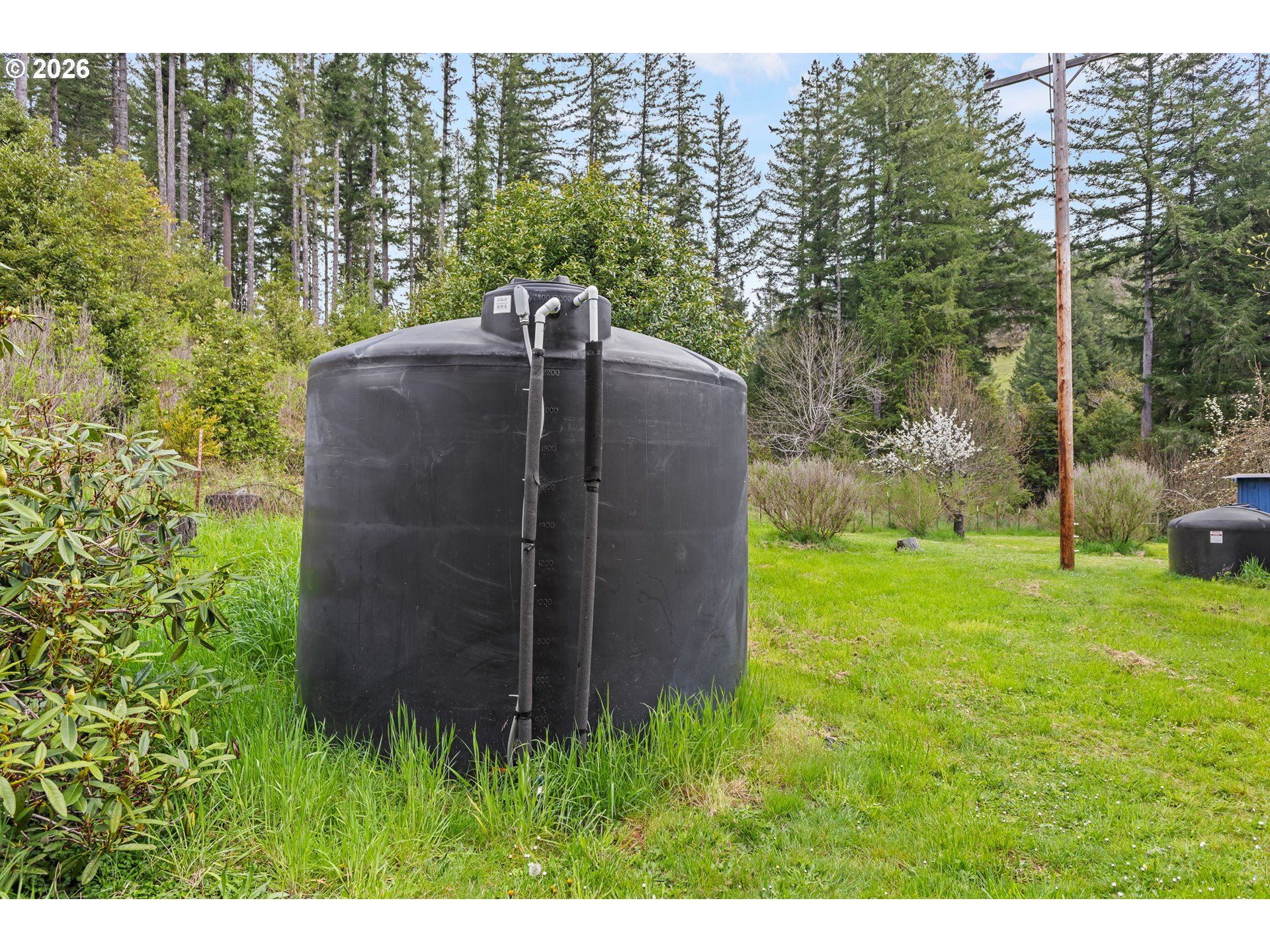 50156 Myrtle Creek Road Myrtle Point, OR 97458 - Photo 45 of 47