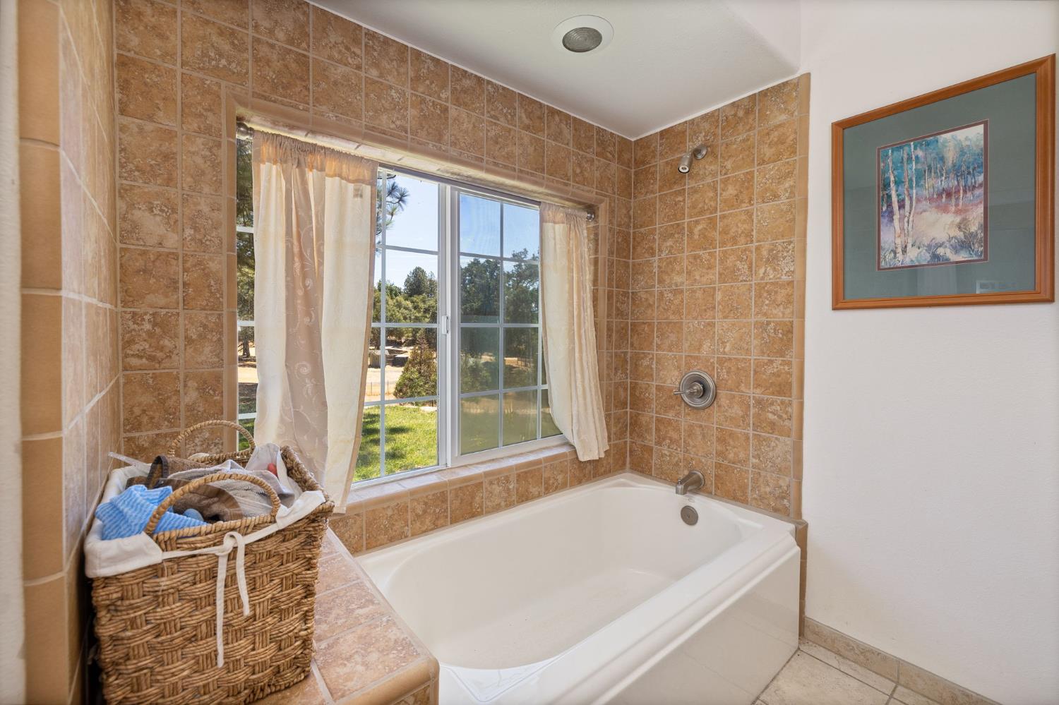 45544 Pine River Road Ahwahnee, CA 93601 - Photo 37 of 75 a bathroom with a tub a window and a shower