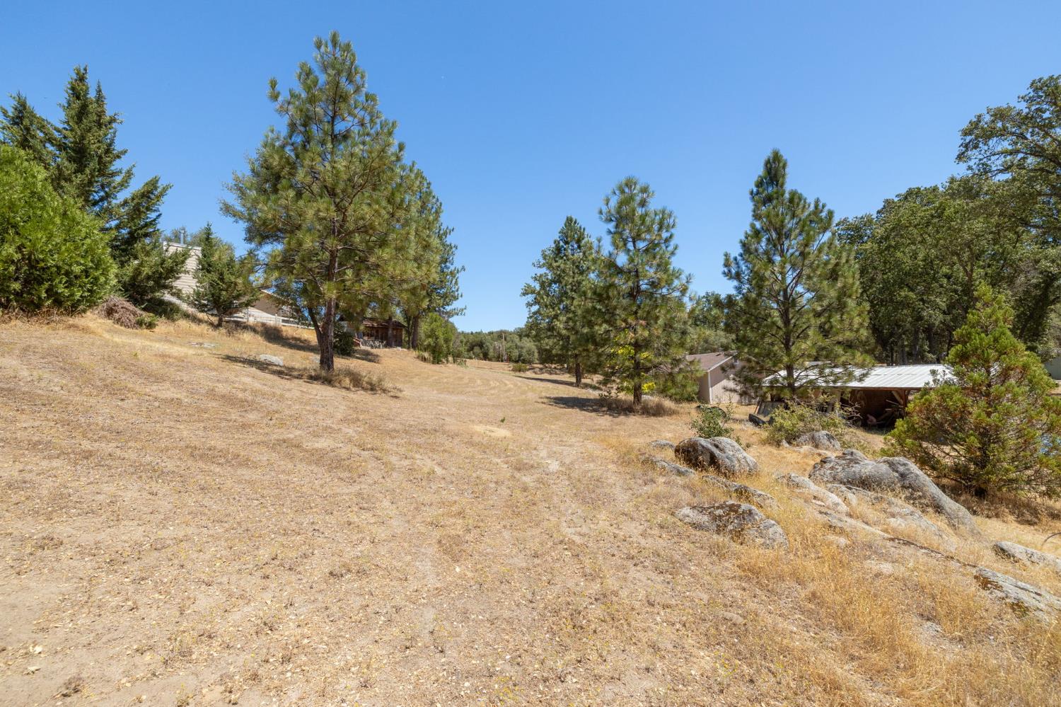 45544 Pine River Road Ahwahnee, CA 93601 - Photo 52 of 75 a view of a yard with a tree
