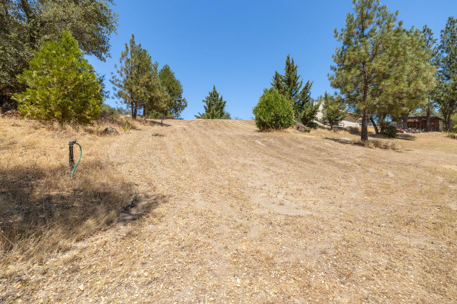 45544 Pine River Road Ahwahnee, CA 93601 - Photo 53 of 75 a view of a yard with a tree