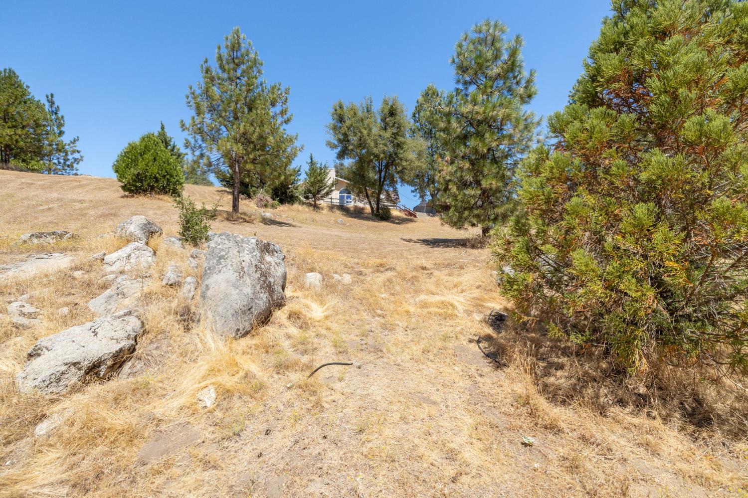 45544 Pine River Road Ahwahnee, CA 93601 - Photo 54 of 75 a view of a yard with trees