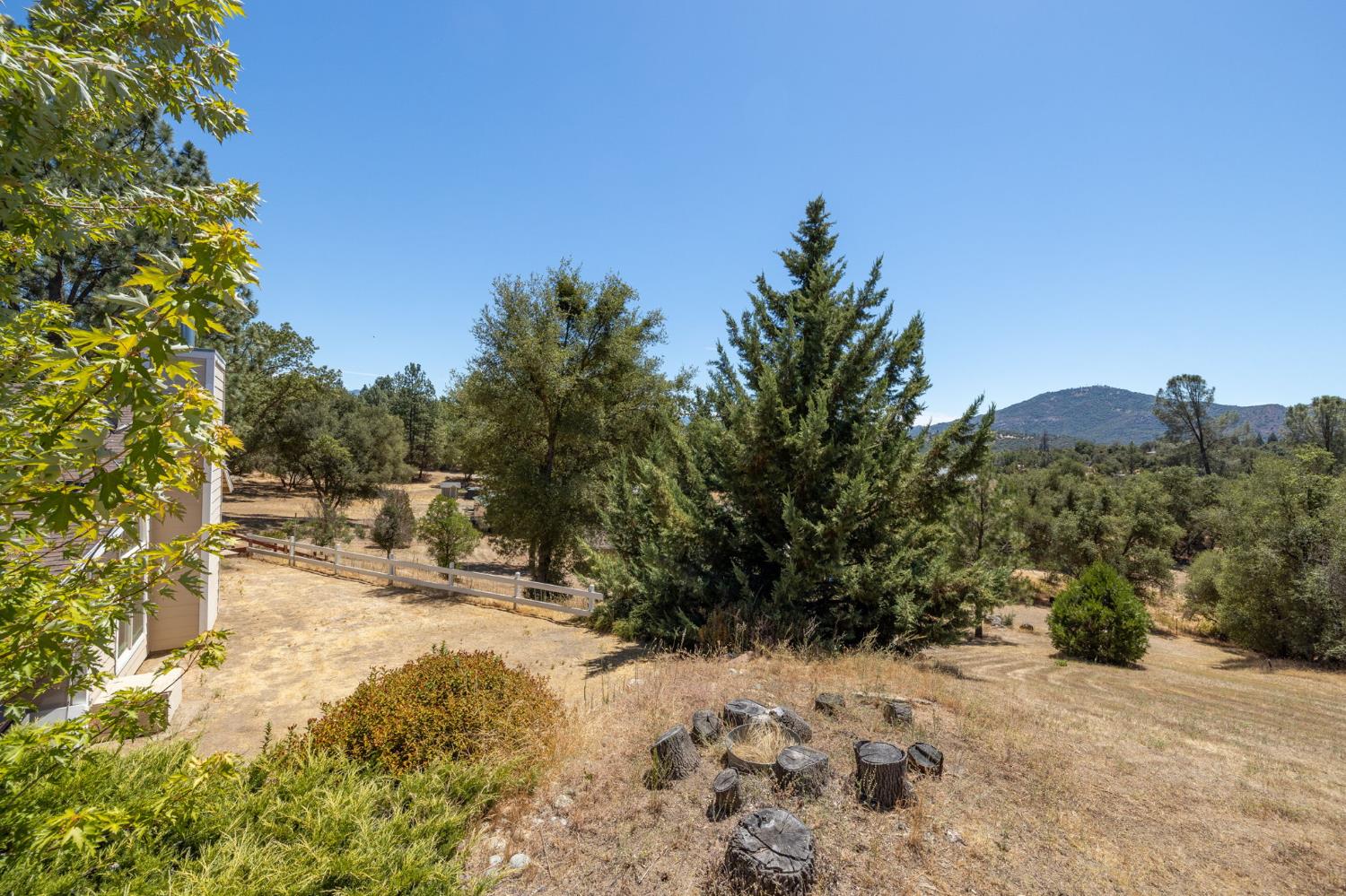 45544 Pine River Road Ahwahnee, CA 93601 - Photo 59 of 75 a view of a yard with a tree