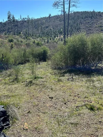 a view of a dry field