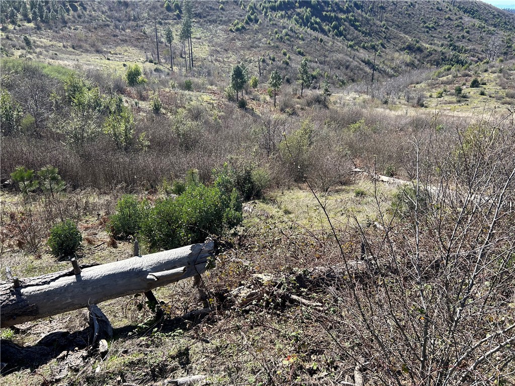 1234 Hog Ranch Road Oroville, CA 95965 - Photo 11 of 21 a bench sitting in middle of forest