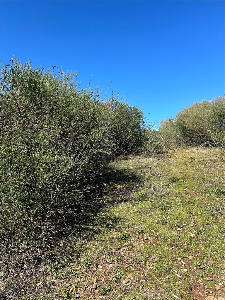 1234 Hog Ranch Road Oroville, CA 95965 - Photo 13 of 21 a view of a field of the building