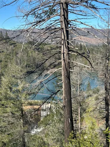 a view of a lush green field