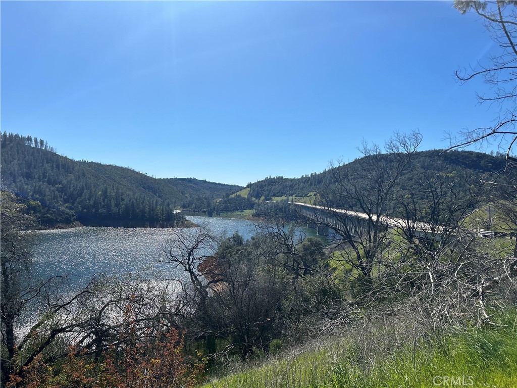 1234 Hog Ranch Road Oroville, CA 95965 - Photo 19 of 21 a view of a lush green field