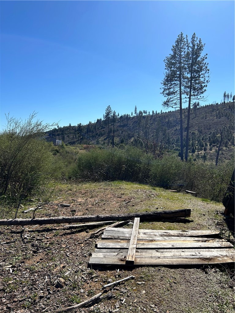 1234 Hog Ranch Road Oroville, CA 95965 - Photo 5 of 21 a view of a yard