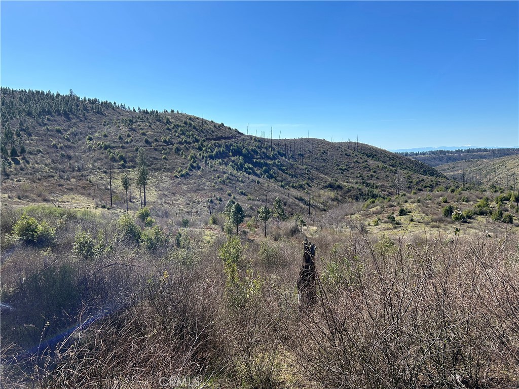 1234 Hog Ranch Road Oroville, CA 95965 - Photo 9 of 21 a view of a dry field
