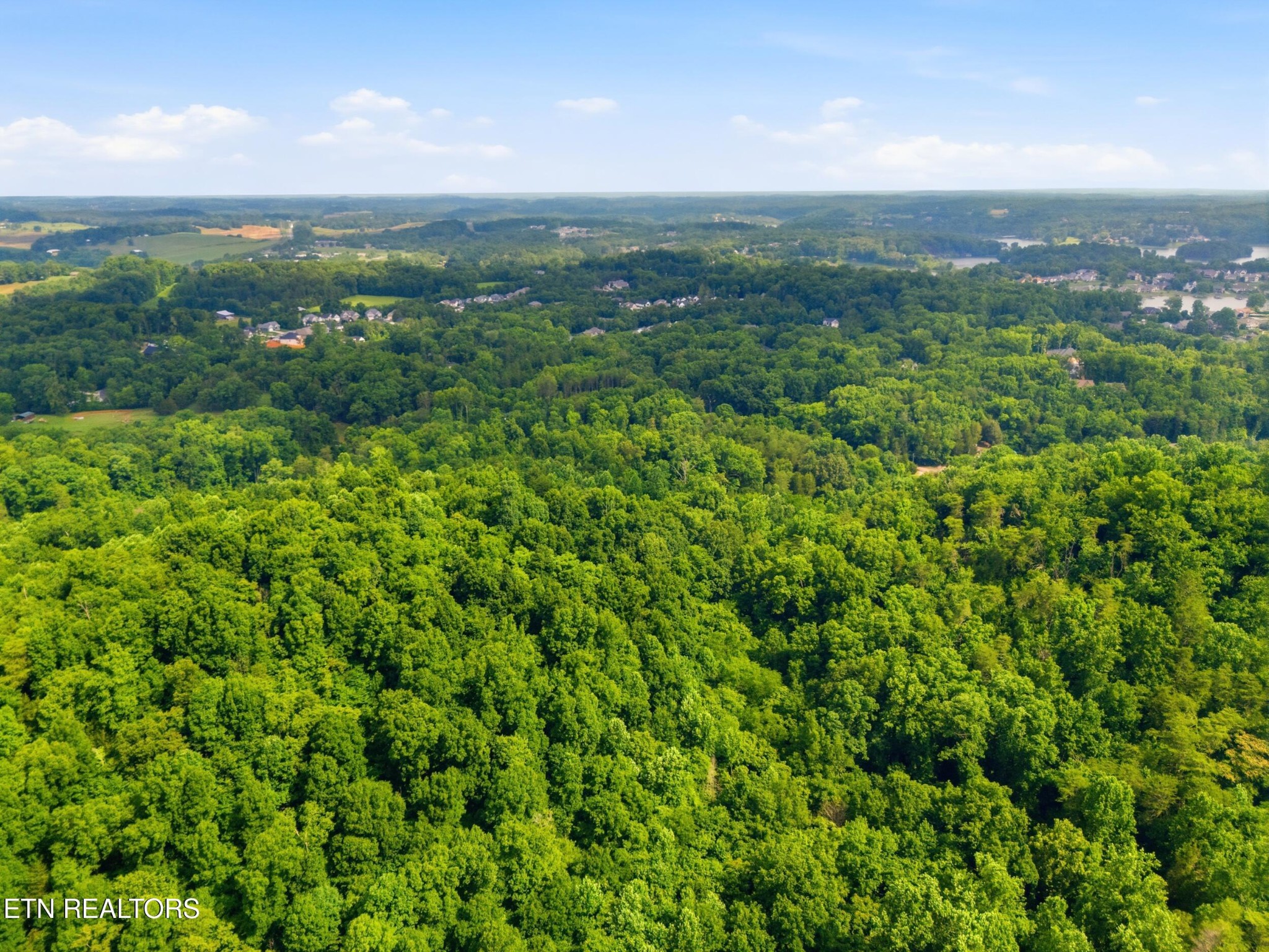 0 Mayo Road Loudon, TN 37774 - Photo 6 of 13