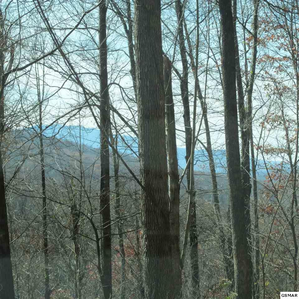 0 Greasy Cove Road Cosby, TN 37722 - Photo 26 of 26 Gallery Image 26