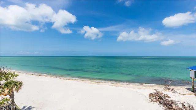 a view of a lake in a big yard