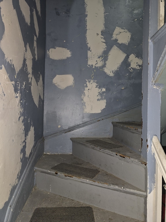 65 Ridgewood Street Boston, MA 02122 - Photo 12 of 12