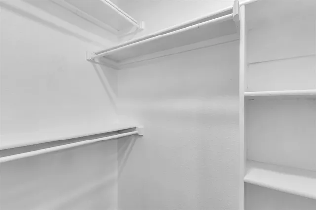 a view of a yard with a large tree