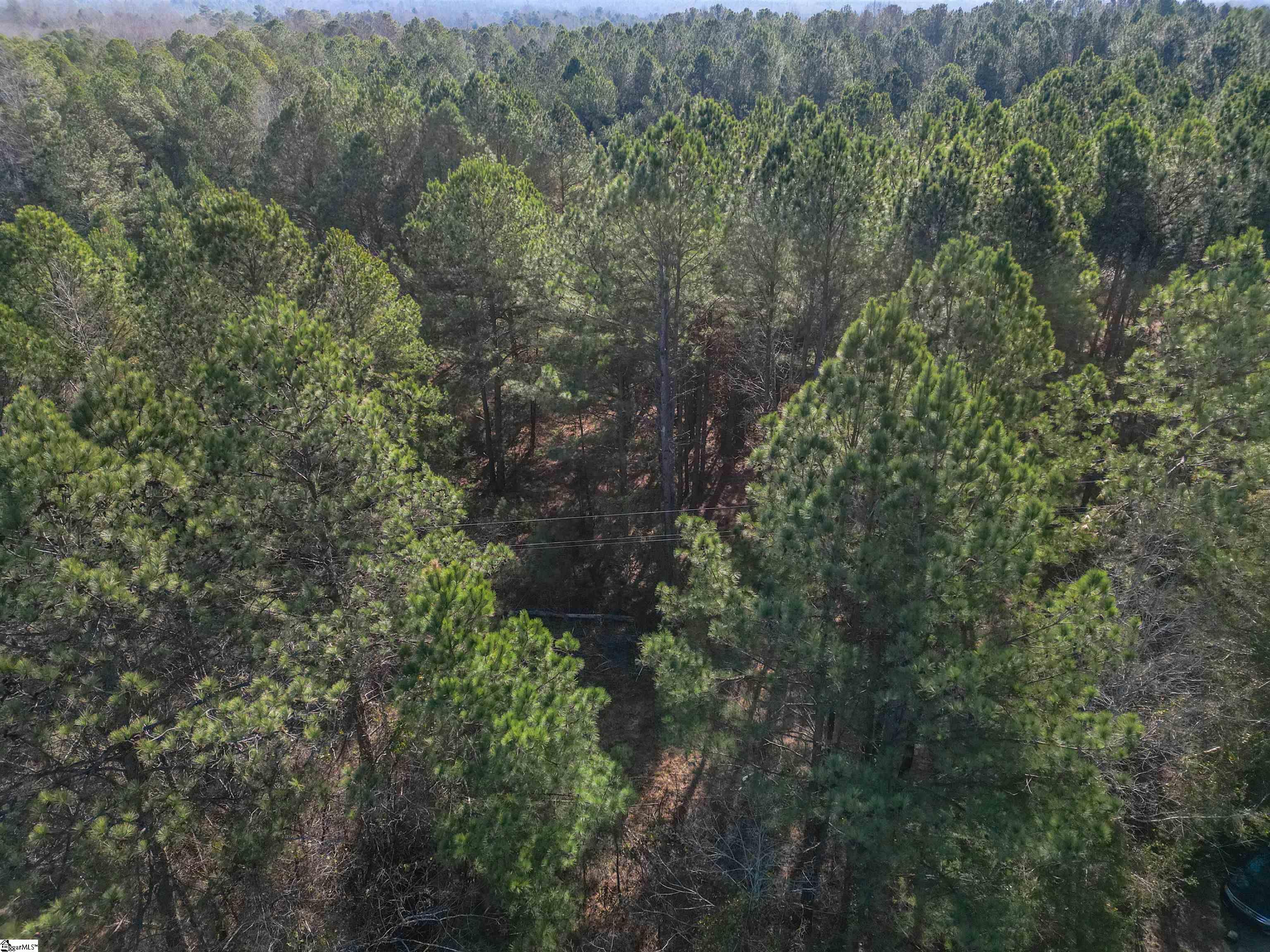 Williford Rd Union Union, SC 29379 - Photo 11 of 21
