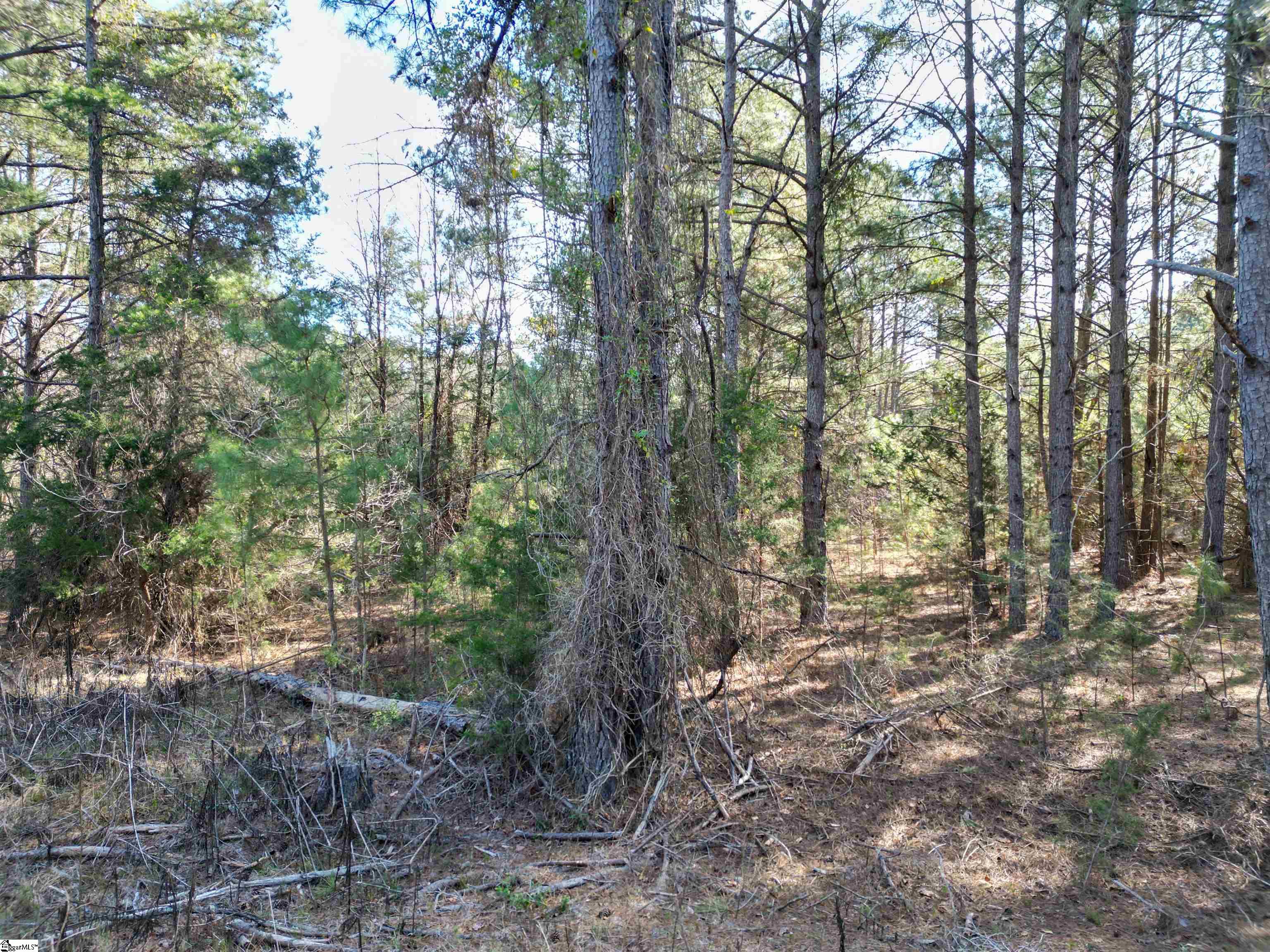 Williford Rd Union Union, SC 29379 - Photo 12 of 21