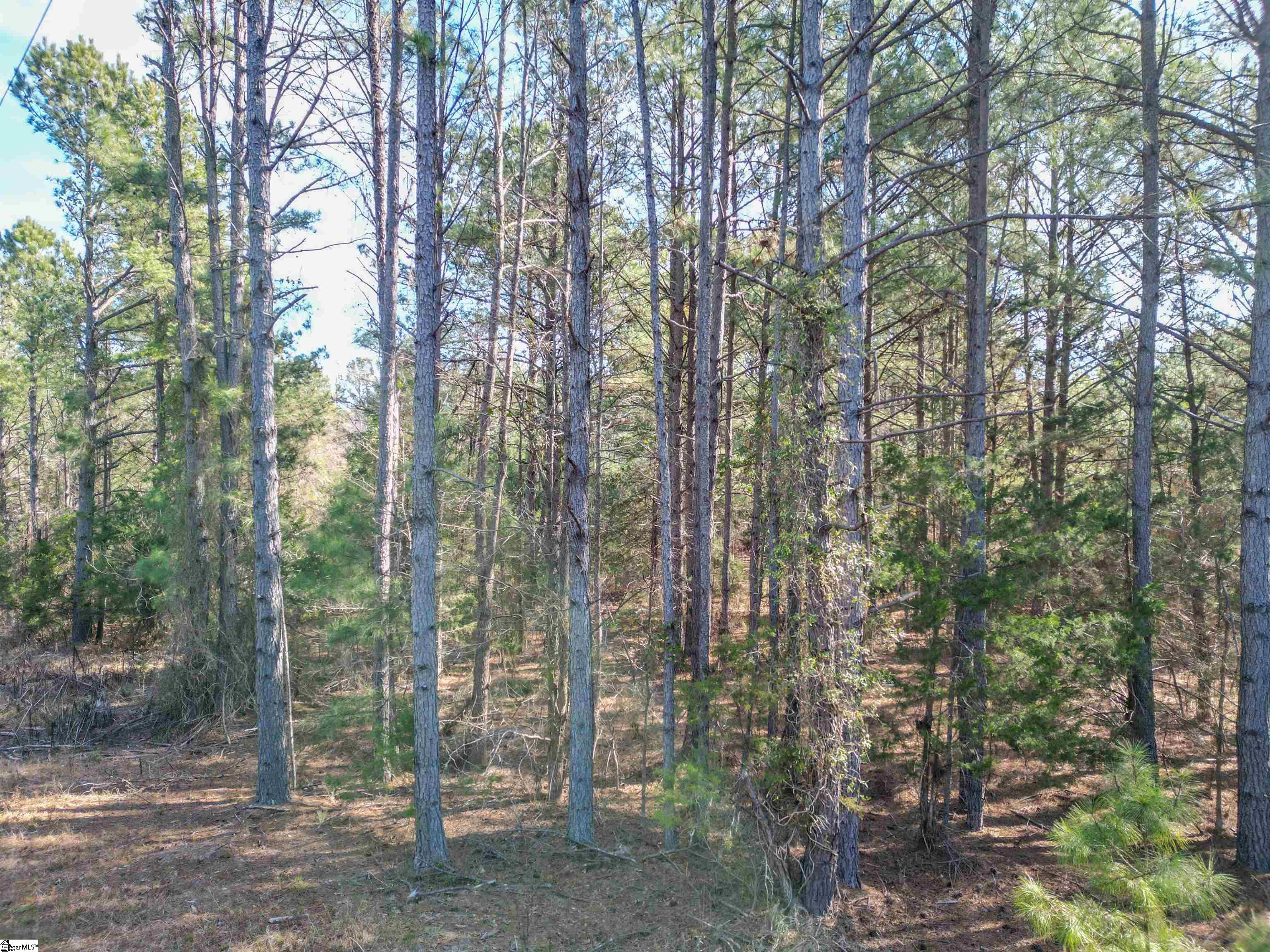 Williford Rd Union Union, SC 29379 - Photo 10 of 21