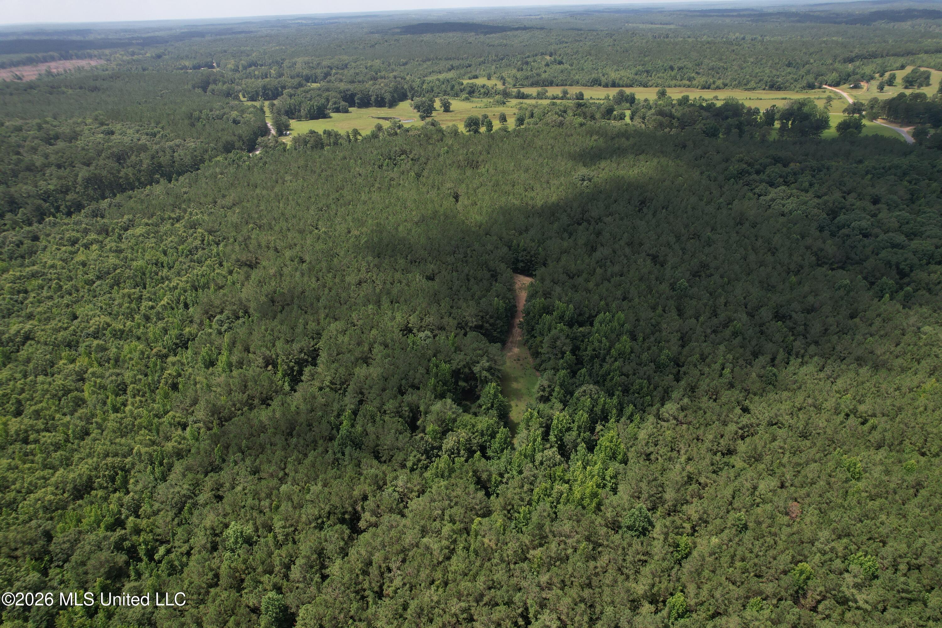 407 Highway Kilmichael Ms 39747 French Camp, MS 39745 - Photo 18 of 26 dji_fly_20260630_112352_163_178303787559