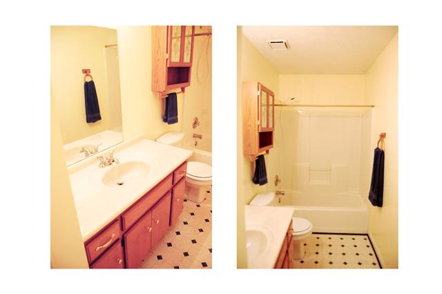 3264 Clapham Road Antioch, TN 37013 - Photo 15 of 19 MASTER BATH!