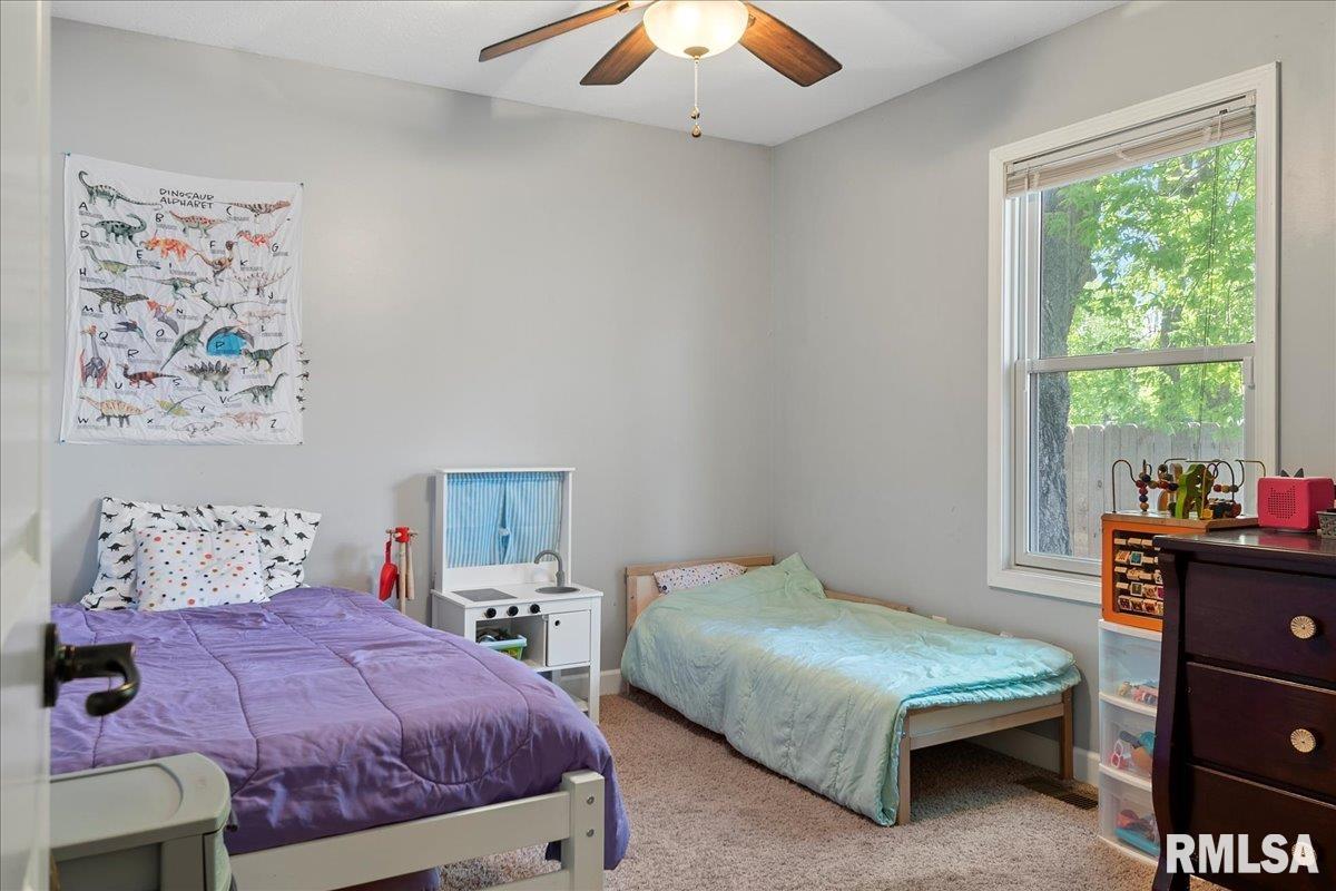 815 9th Street Pawnee, IL 62558 - Photo 15 of 17