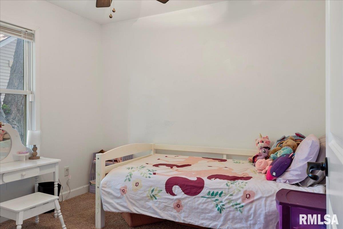 815 9th Street Pawnee, IL 62558 - Photo 16 of 17