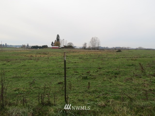 69-xx Noon Road Everson, WA 98247 - Photo 3 of 7