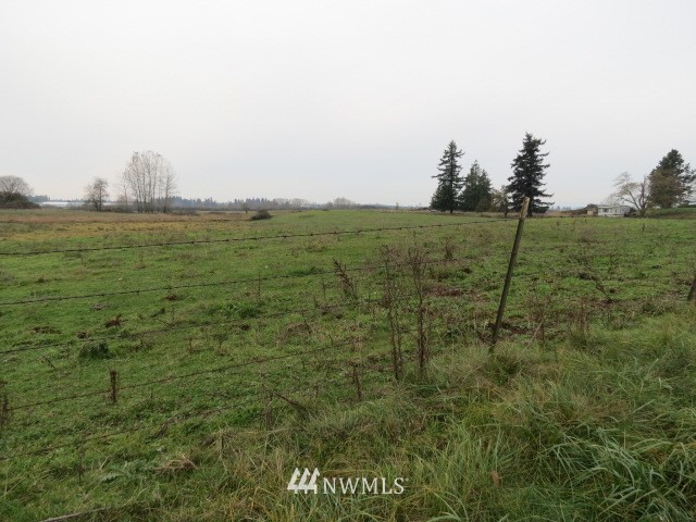 69-xx Noon Road Everson, WA 98247 - Photo 4 of 7