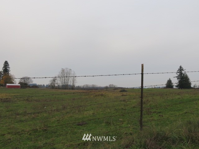 69-xx Noon Road Everson, WA 98247 - Photo 5 of 7