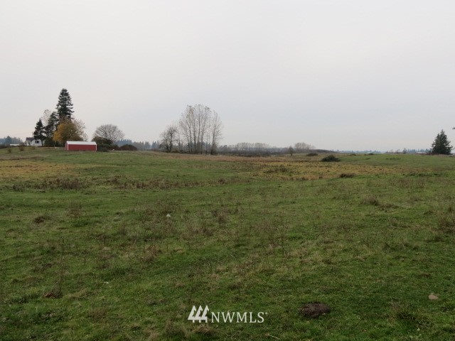 69-xx Noon Road Everson, WA 98247 - Photo 7 of 7