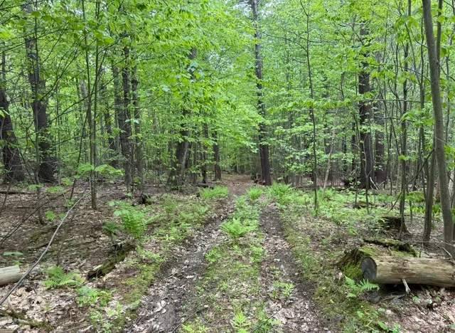 $199,000 | 189 North Street, Unit 43 45 & 47, Dover, VT 05341