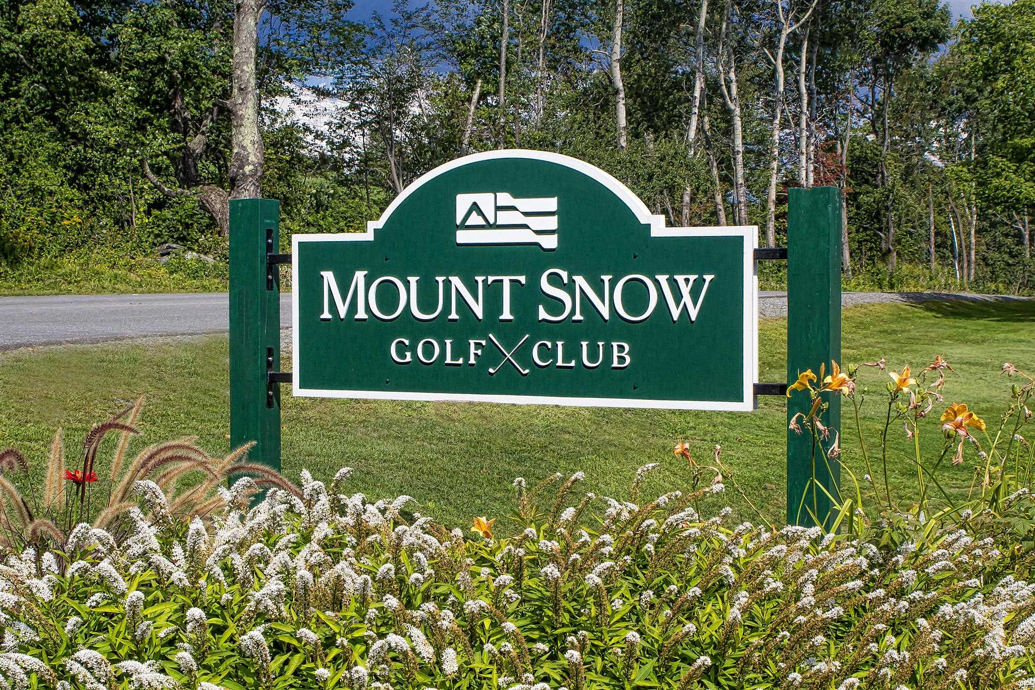 189 North Street, Unit 43 45 & 47 Dover, VT 05341 - Photo 16 of 18