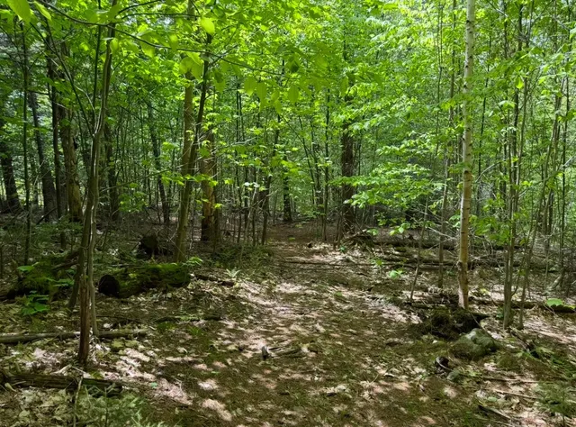 $199,000 | 189 North Street, Unit 43 45 & 47, Dover, VT 05341