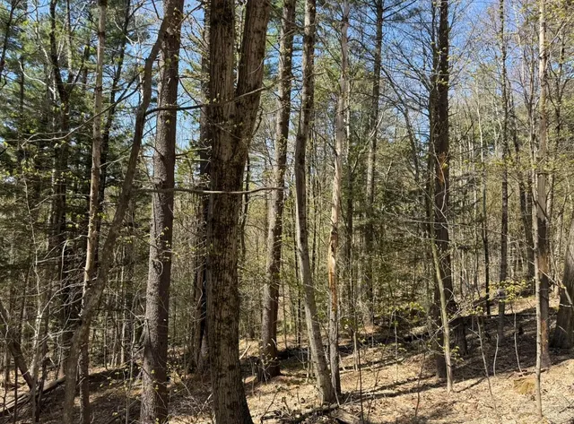 $199,000 | 189 North Street, Unit 43 45 & 47, Dover, VT 05341