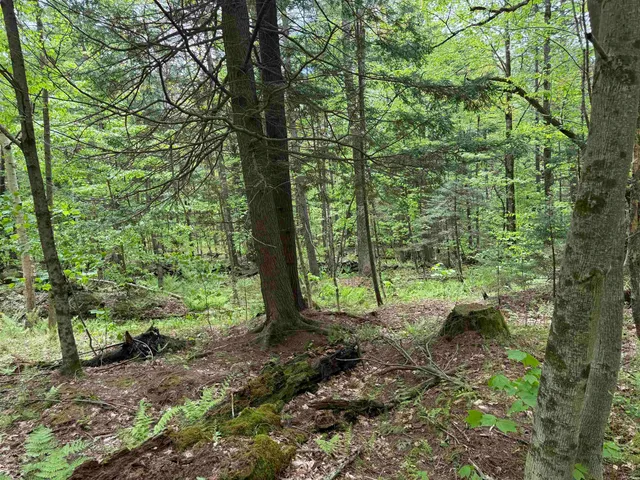 $199,000 | 189 North Street, Unit 43 45 & 47, Dover, VT 05341