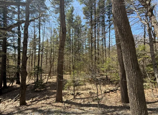 $199,000 | 189 North Street, Unit 43 45 & 47, Dover, VT 05341